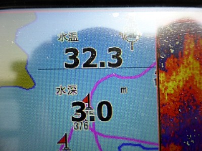 truth news ブログ写真 2013/08/15