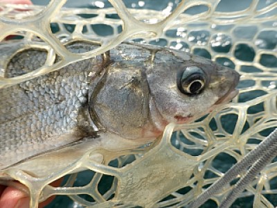 truth news ブログ写真 2013/08/17