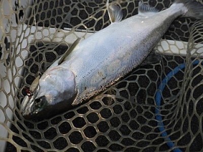 truth news ブログ写真 2013/08/17