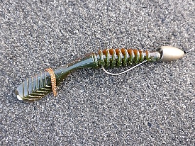 truth news ブログ写真 2013/08/17