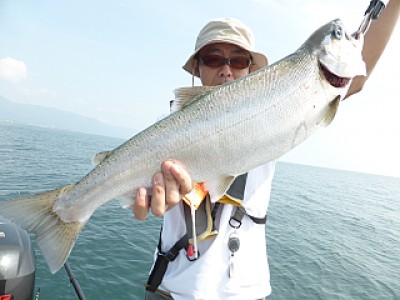 truth news ブログ写真 2013/08/18