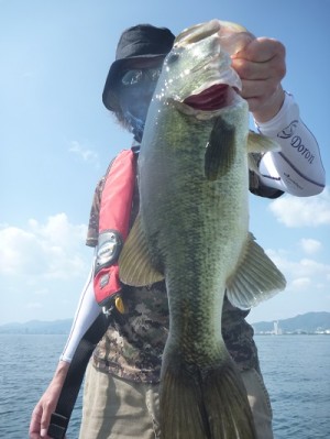 truth news ブログ写真 2013/08/18