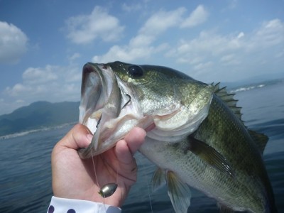 truth news ブログ写真 2013/08/18