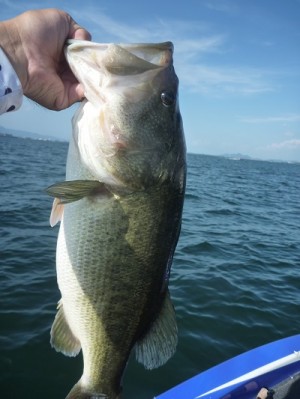 truth news ブログ写真 2013/08/18