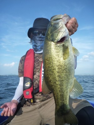 truth news ブログ写真 2013/08/18