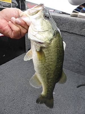 truth news ブログ写真 2013/08/20