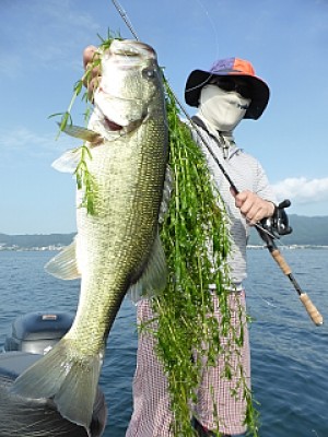 truth news ブログ写真 2013/08/20