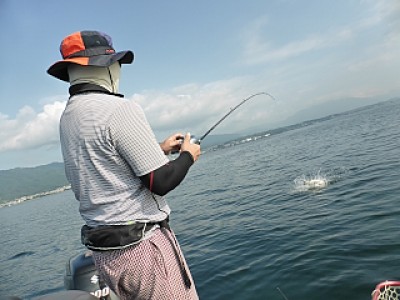 truth news ブログ写真 2013/08/20