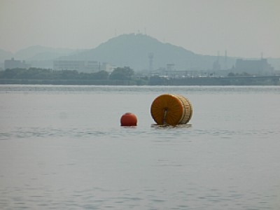 truth news ブログ写真 2013/08/20