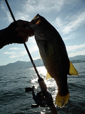 truth news ブログ写真 2013/08/20