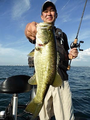 truth news ブログ写真 2013/08/20