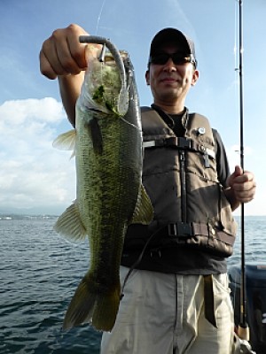 truth news ブログ写真 2013/08/20