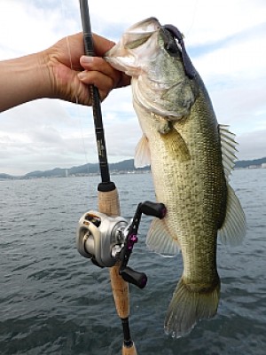 truth news ブログ写真 2013/08/22