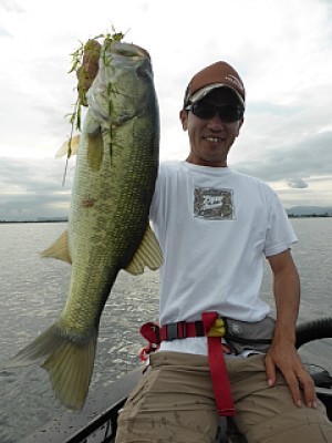 truth news ブログ写真 2013/08/22