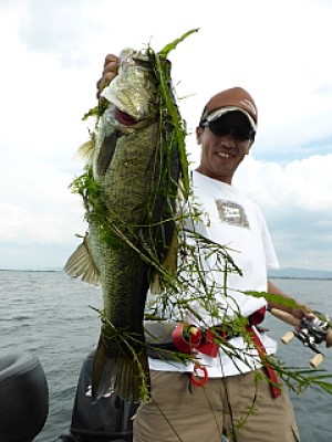 truth news ブログ写真 2013/08/22