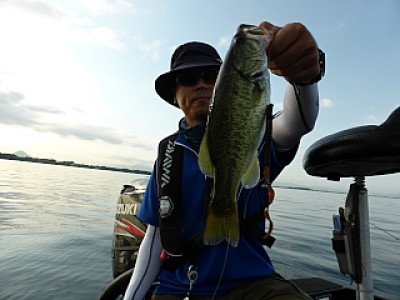 truth news ブログ写真 2013/08/22