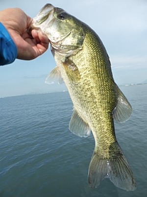 truth news ブログ写真 2013/08/22