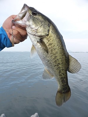 truth news ブログ写真 2013/08/22