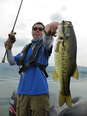 truth news ブログ写真 2013/08/22