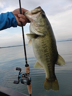 truth news ブログ写真 2013/08/22