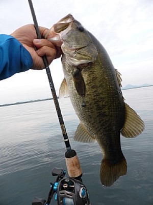 truth news ブログ写真 2013/08/22