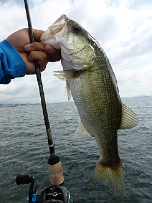 truth news ブログ写真 2013/08/22