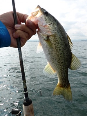 truth news ブログ写真 2013/08/22