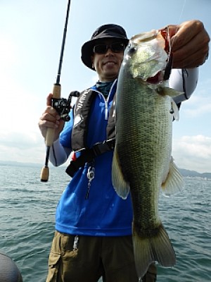 truth news ブログ写真 2013/08/22