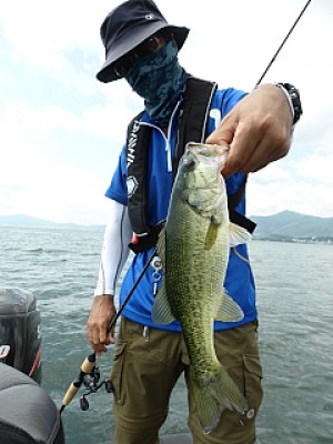 truth news ブログ写真 2013/08/22