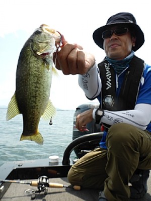 truth news ブログ写真 2013/08/22