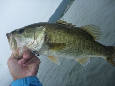 truth news ブログ写真 2013/08/24