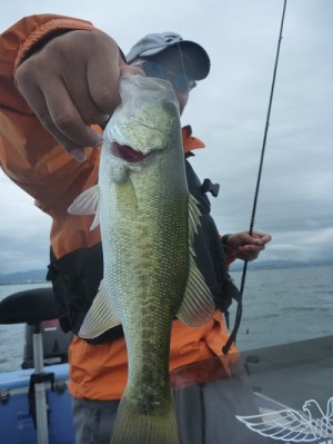 truth news ブログ写真 2013/08/24