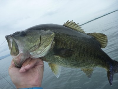 truth news ブログ写真 2013/08/24