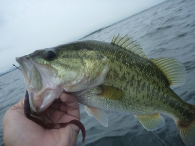 truth news ブログ写真 2013/08/24