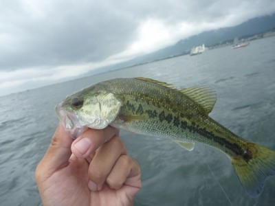 truth news ブログ写真 2013/08/24