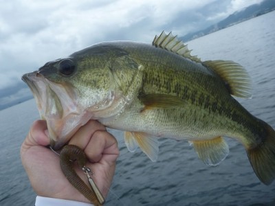 truth news ブログ写真 2013/08/24