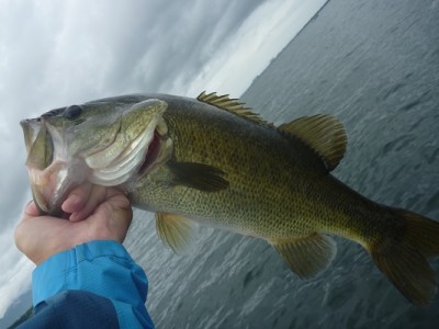 truth news ブログ写真 2013/08/24