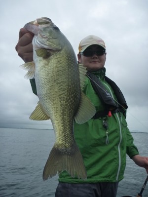 truth news ブログ写真 2013/08/25