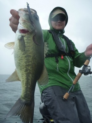 truth news ブログ写真 2013/08/25