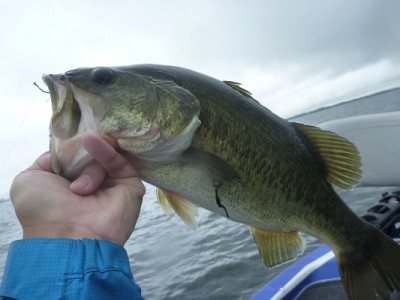 truth news ブログ写真 2013/08/25