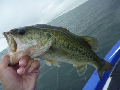 truth news ブログ写真 2013/08/25