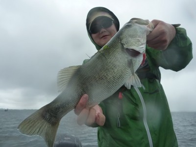 truth news ブログ写真 2013/08/25