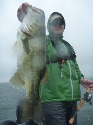 truth news ブログ写真 2013/08/25