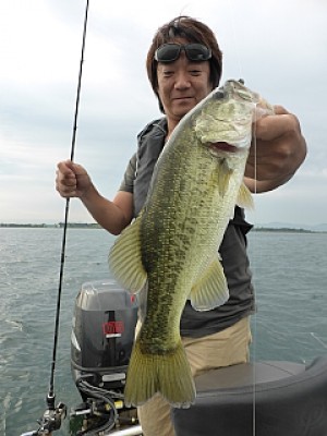 truth news ブログ写真 2013/08/26