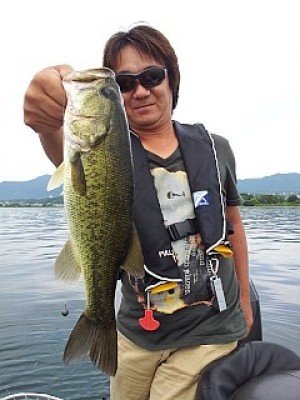 truth news ブログ写真 2013/08/26