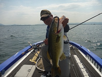 truth news ブログ写真 2013/08/29