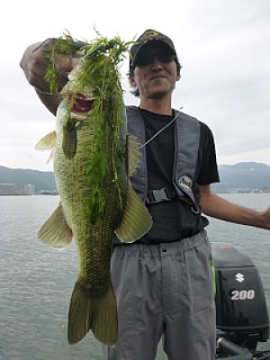 truth news ブログ写真 2013/09/02