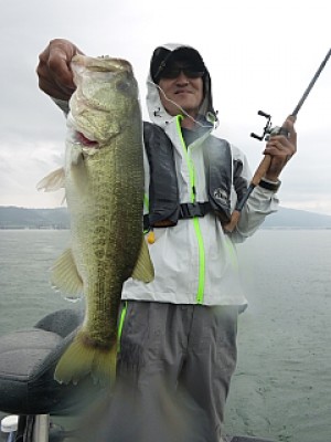 truth news ブログ写真 2013/09/02