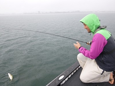 truth news ブログ写真 2013/09/03