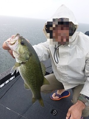 truth news ブログ写真 2013/09/03